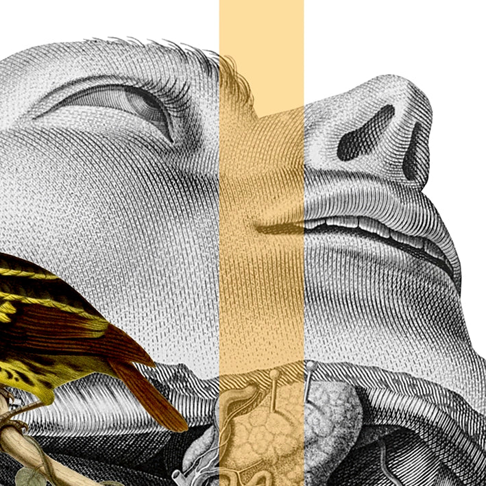 Después del apocalipsis