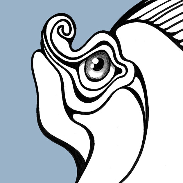 Very happy drawing walking with his testicles inside a toaster