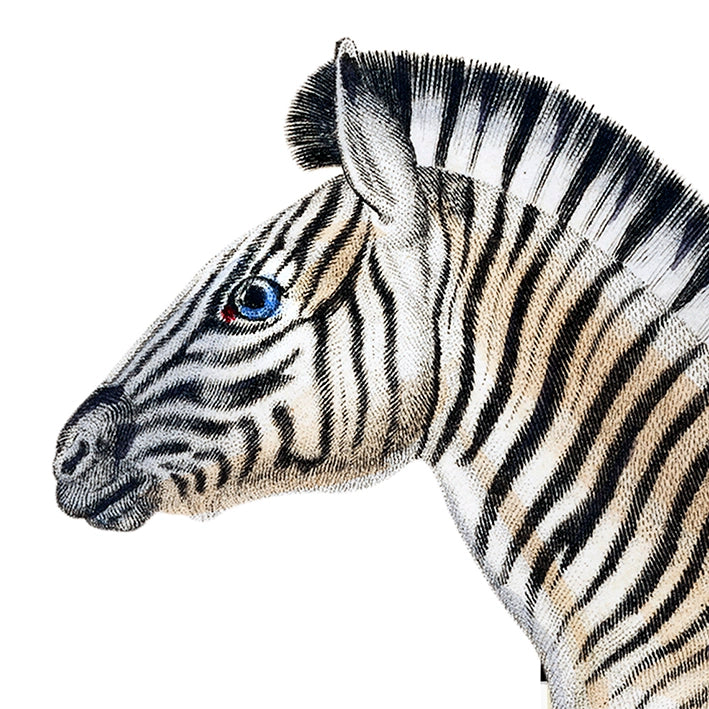 The heart of the night